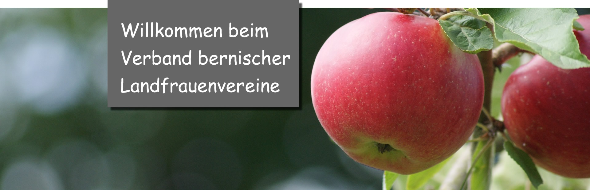 Apfel_willkomm