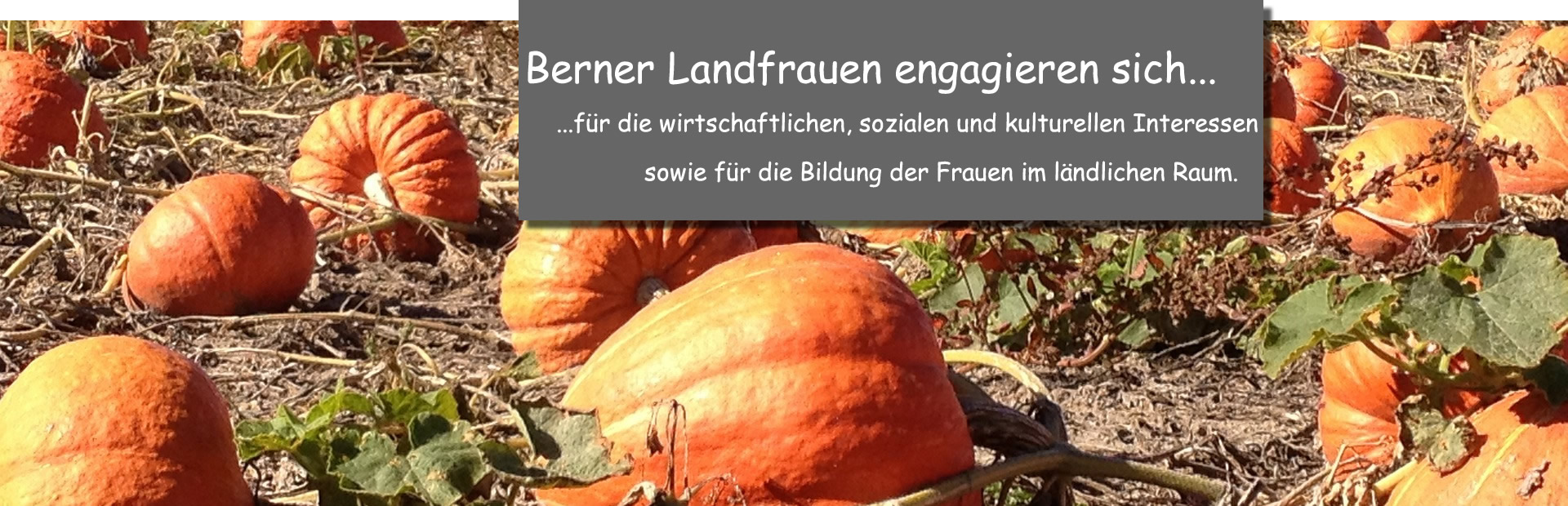 Krbisfeld_engagieren